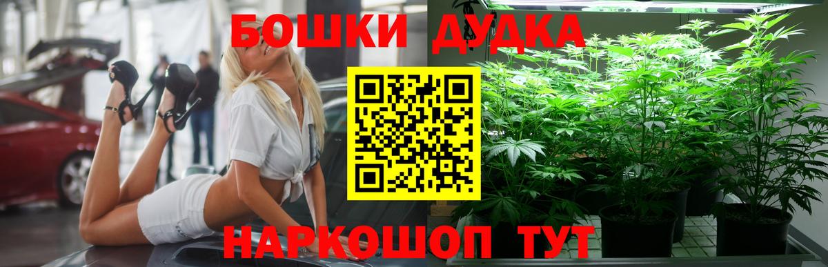 Шишки марихуана сатива  Шишки марихуана план  Вход с VPN  Канабис семена  Каннабис White Widow  Зеленодольск 